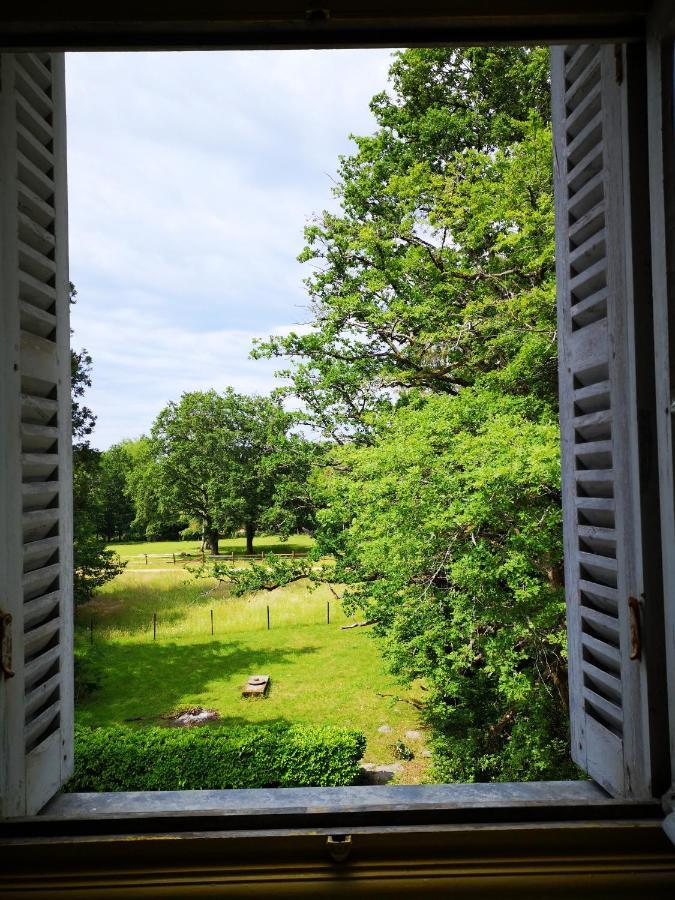 Chateau De Beauchene Chambres D'Hotes Allogny Εξωτερικό φωτογραφία